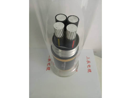 产品图片 3