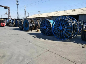  厂区环境