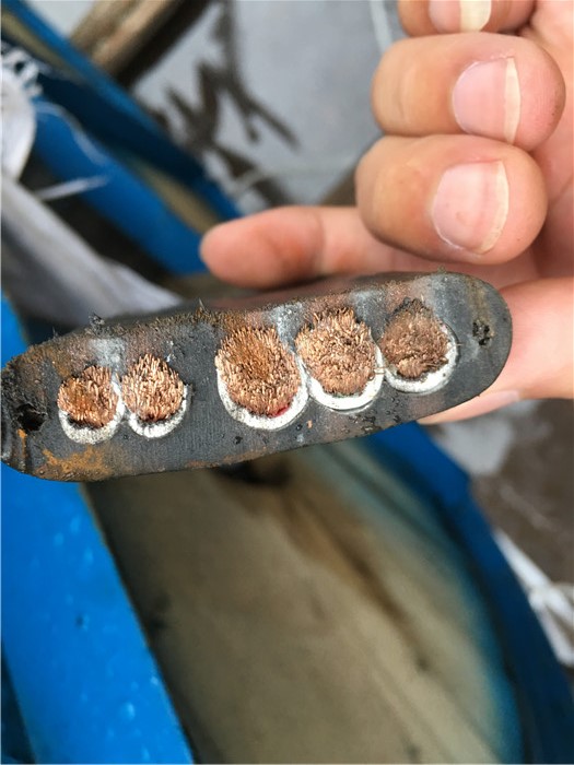 扁电缆