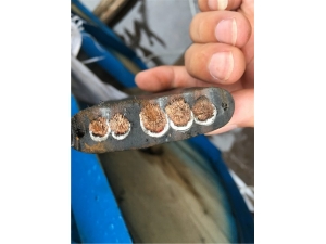 扁电缆